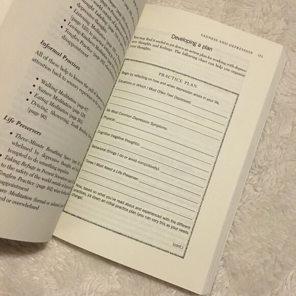 'The Mindfulness Solution' Softcover Book Fourth Copy - Picture 4 of 4